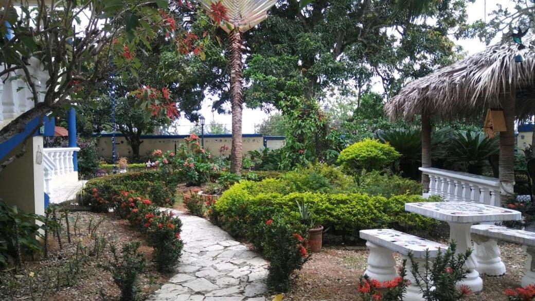 Sana El Jardin Secreto Pansiyon Santiago De Los Caballeros Dış mekan fotoğraf