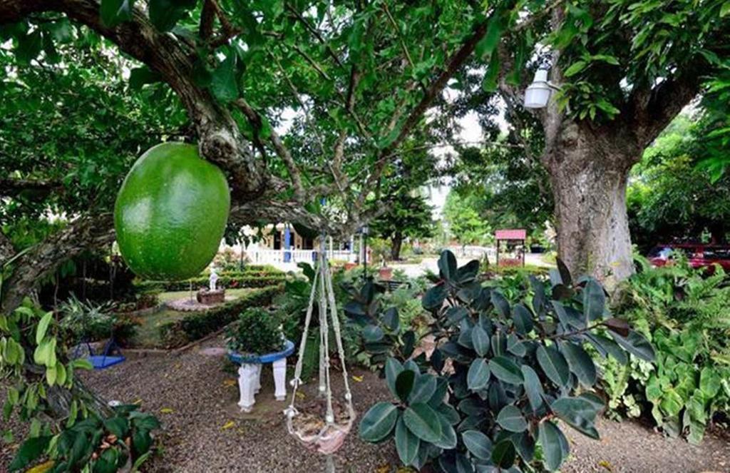 Sana El Jardin Secreto Pansiyon Santiago De Los Caballeros Dış mekan fotoğraf