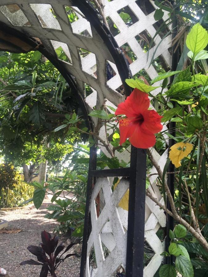 Sana El Jardin Secreto Pansiyon Santiago De Los Caballeros Dış mekan fotoğraf